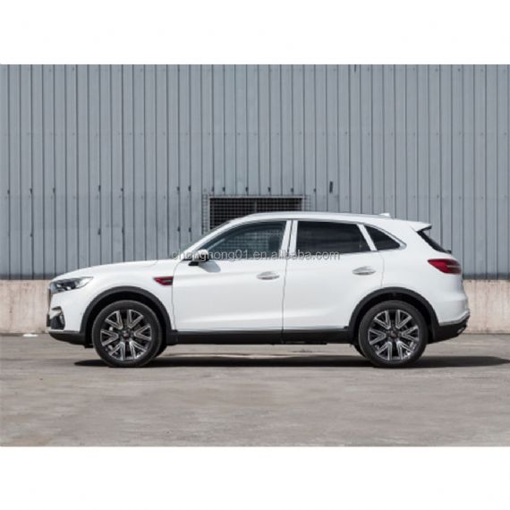 Hongqi HS5 Petrol Gas Gasoline - CH00046